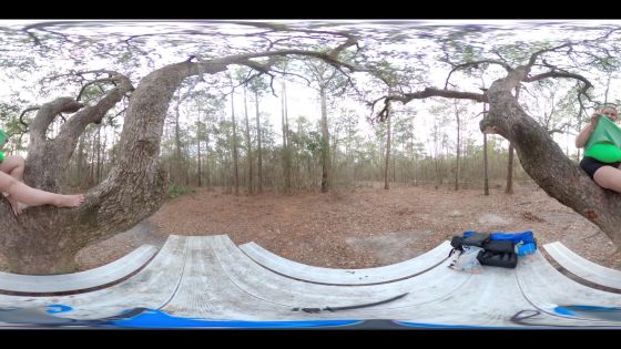 Live Oak Nude 360 Spherical - ClipFoo video on CurveFanz