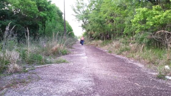 The Abandoned Road - ClipFoo video on CurveFanz